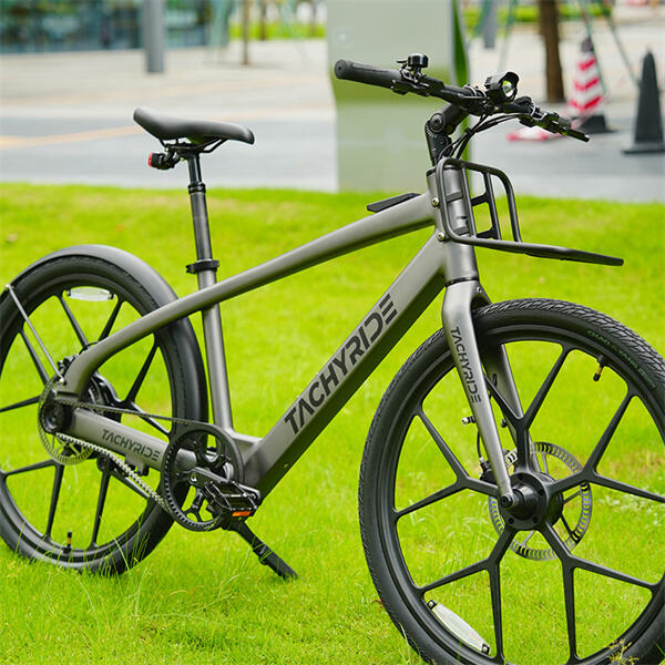 The Off-Road Electric Bike