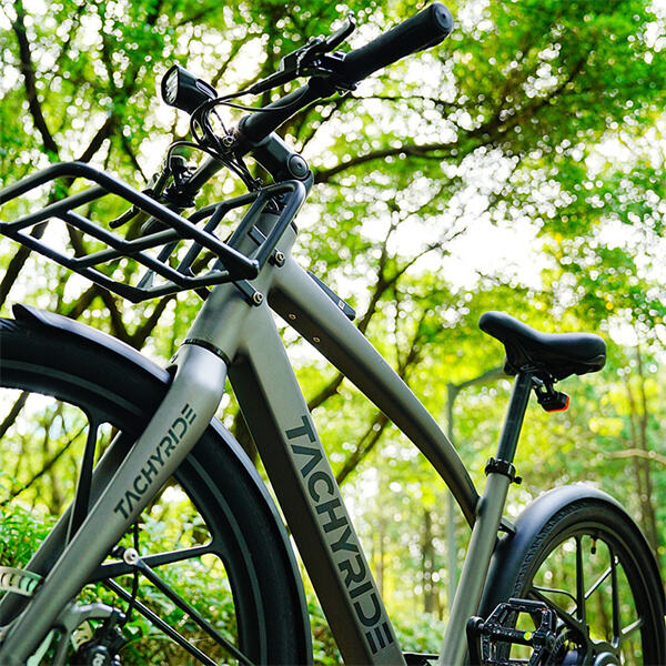 Revoluția Roții de Bicicletă Electrică