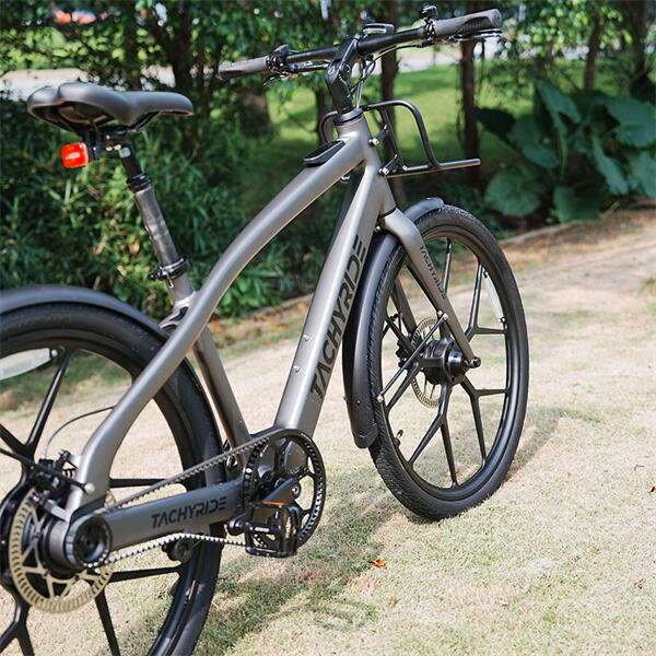 Ervaar de opwinding van elektrisch fietsen in de buurt