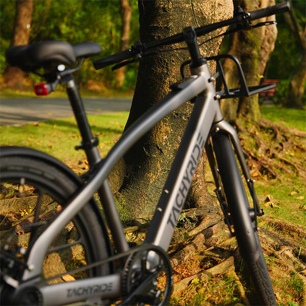 Effortlessly conquer any terrain with Electra e-bikes