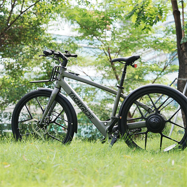 Electric mountain bicycles and sustainability