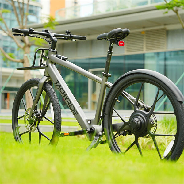 The high speed electric bike