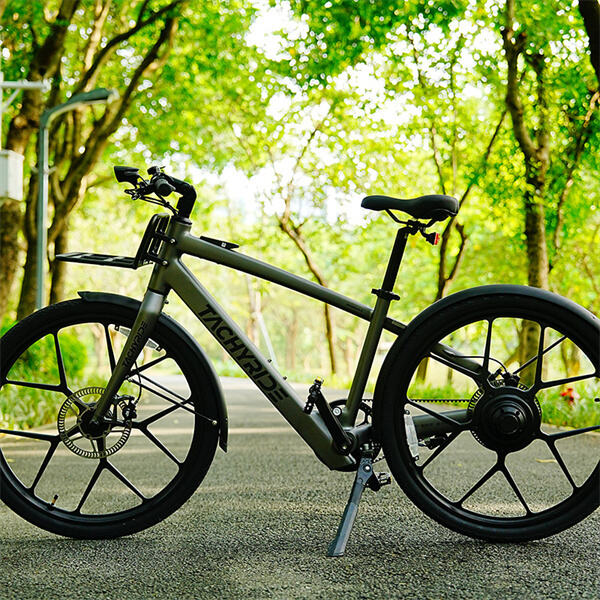 The various factors that influence e-bike cost