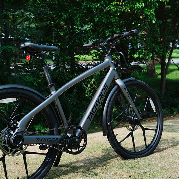 The top features of an electric mountain bicycle