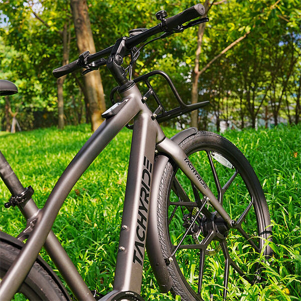 Conquer Any Terrain with the Help of an Ebike Mountainbike