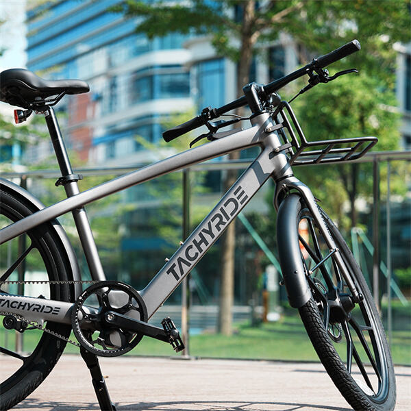 The Success of E Bike Companies