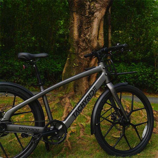 Fully Electric Bikes for an Eco-Friendly Commute