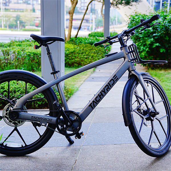 Nunca Se Preocupe em Ficar Sem Energia com uma Bicicleta Elétrica de Dupla Bateria