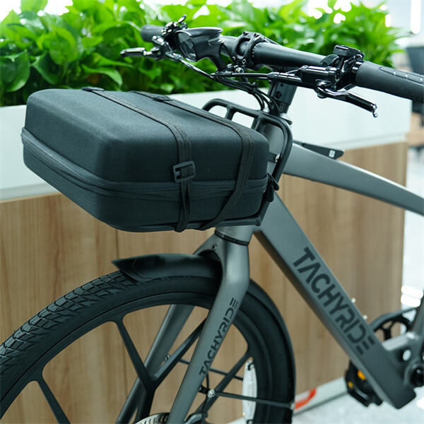 Electric Cargo Bikes for Sustainable City Delivery