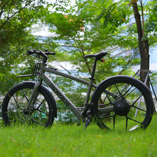 What affects the cost of an electric bike?