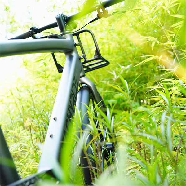 Embrace the Future of Mountain Biking with Electric Assistance