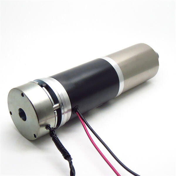 Safety Features of Planetary Gear Motor: