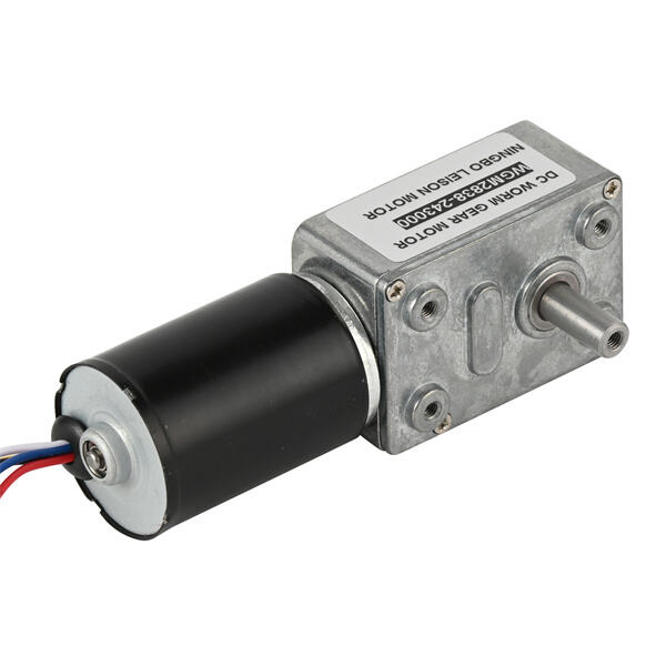 Safety of 24v Electric Motors