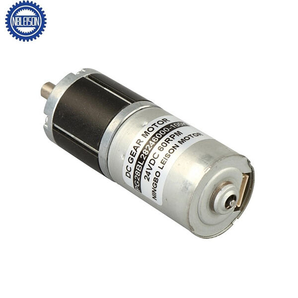 Utilizing the Mini BLDC Motor