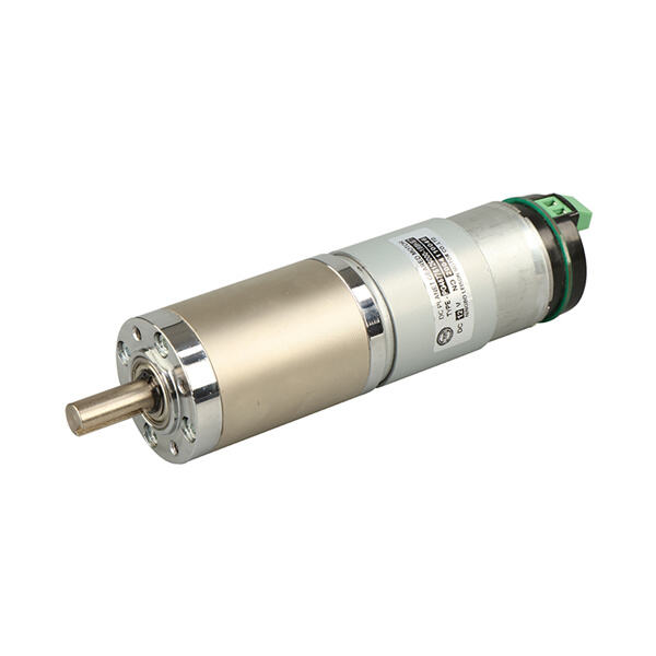 Safety of High Torque Gear Motor 12v