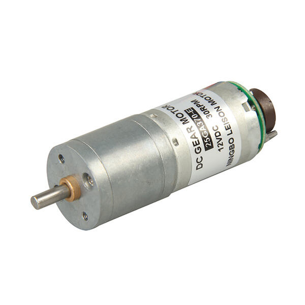 Security of Motor DC Mini