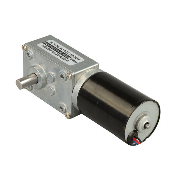 Safety Within The 12-Volt-DC-Worm-Gear-Motor