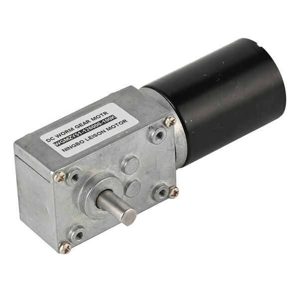 Innovations in Worm Gear Motor 12v