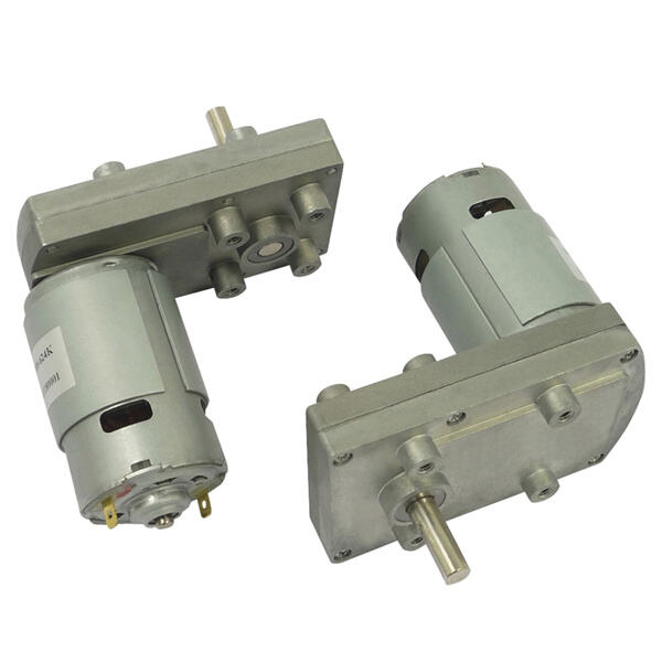 Safety with Miniature Gear Motors: