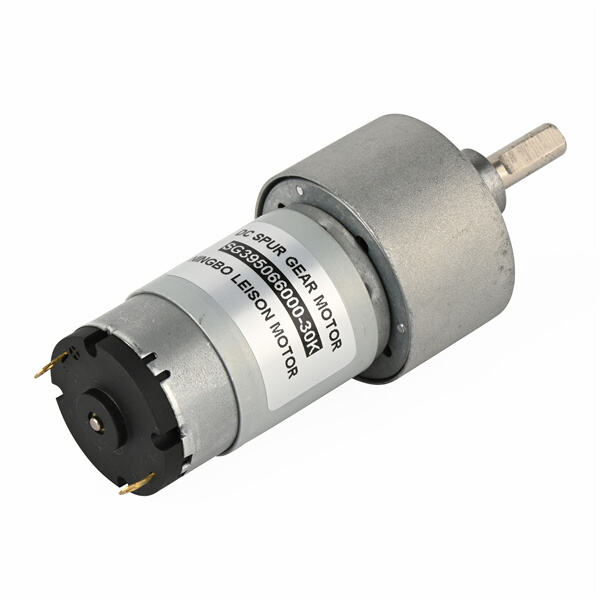 Security of Mini DC Gear Motor