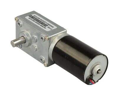 CE ROHS Certified Manufacturing for Premium AC Gear Motors