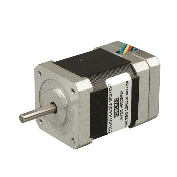 Use and How to Use Brushless DC Motor 36V?