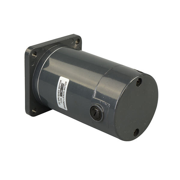 How to Use the DC Motor 24V?