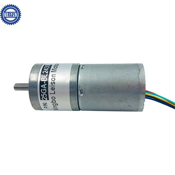 Innovation into the Mini BLDC Motor