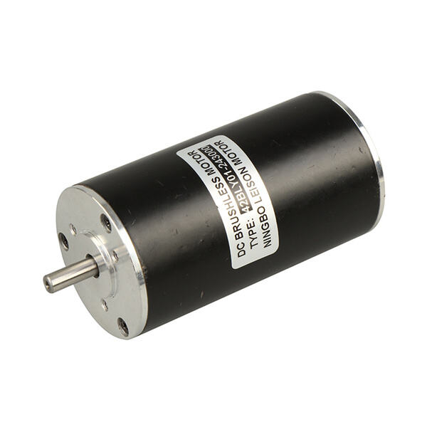 Safety of Motor Brushless 24V