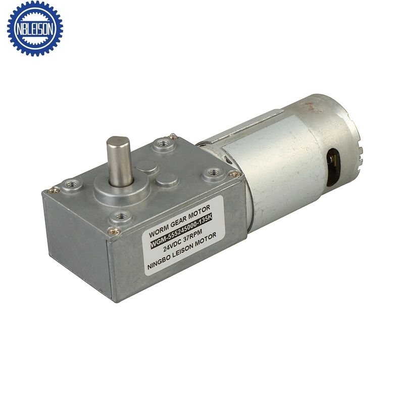 LS-WGMM555 DC Worm Gear Motor