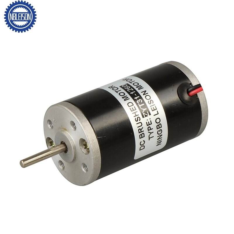 LS-ZY31 DC Motor