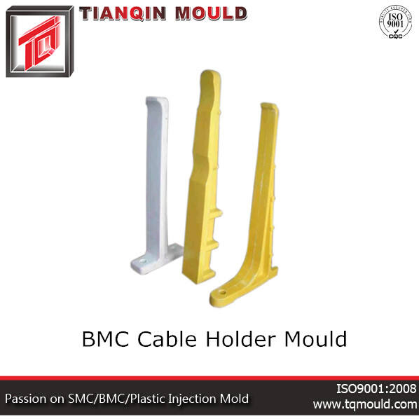 How to identify BMC housing mold in your home