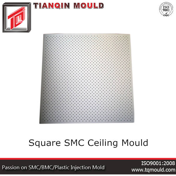 How Professional Mold Remediation Can Restore Your Home's Safety and Value