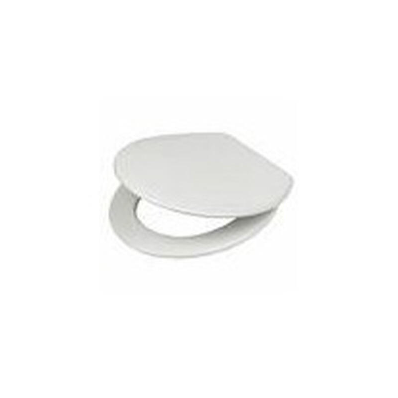 The Surprising Health Risks of Unchecked Toilet Seat Mould