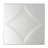 The Rotten Impact of Mold on Your Home and Health