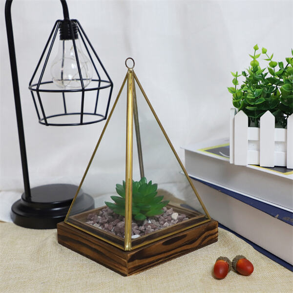 How to Make Your Own Low Maintenance Terrarium?