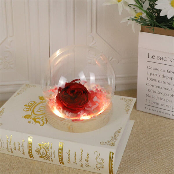Preserve Your Precious Memories with a Glass Dome and Base