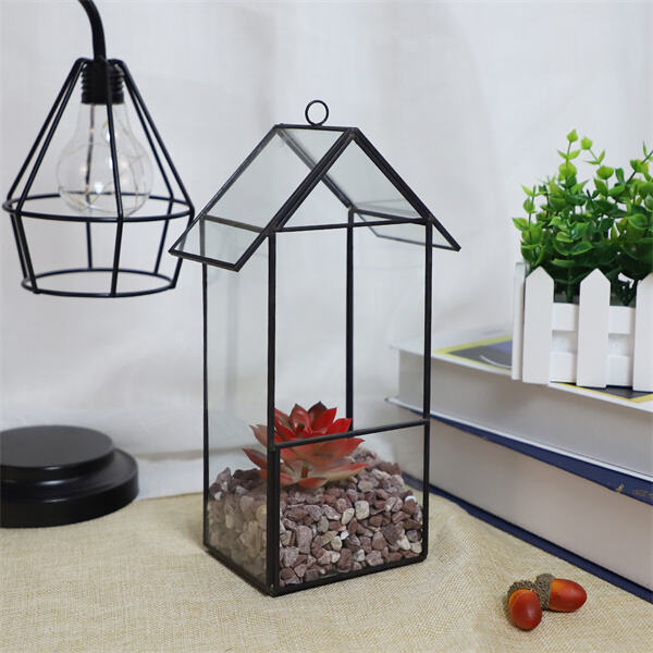 From glass to metal, explore the diverse materials of Terrarium containers