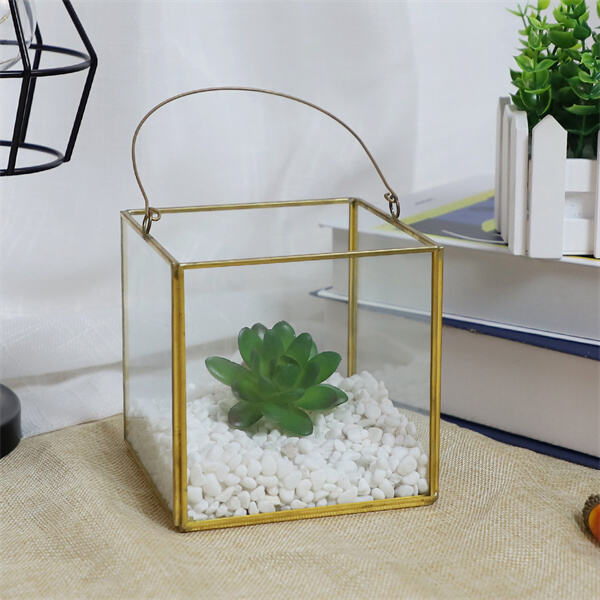 The power of a perfectly curated small glass terrarium.