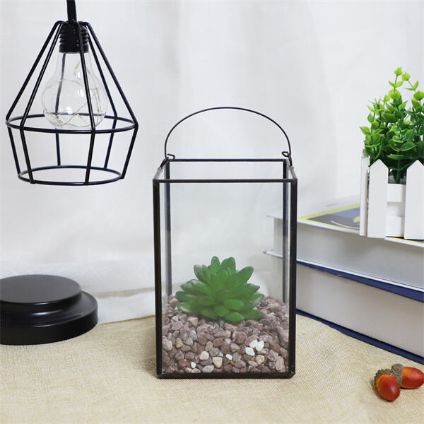 Low-Maintenance Plants for Your Indoor Terrarium