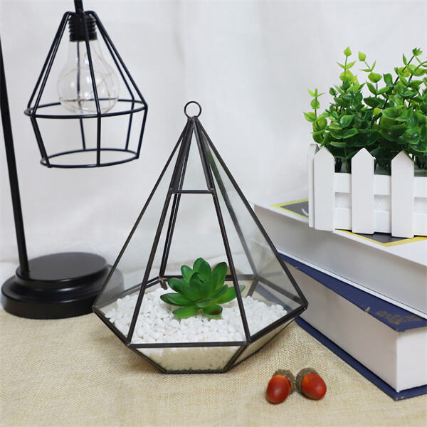 Why Terrariums Make Unique Gifts