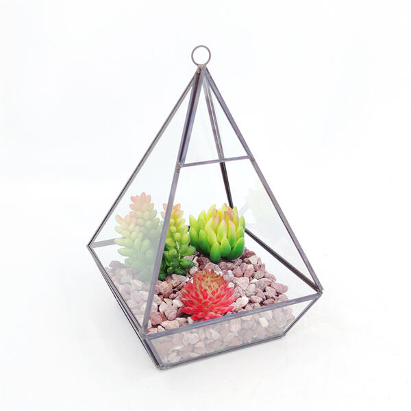 Create a Miniature World in Your Home with Large Terrarium Jars