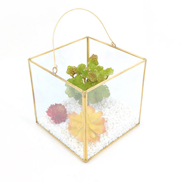 The Magic of Terrarium Containers and How to Care for Them? 
