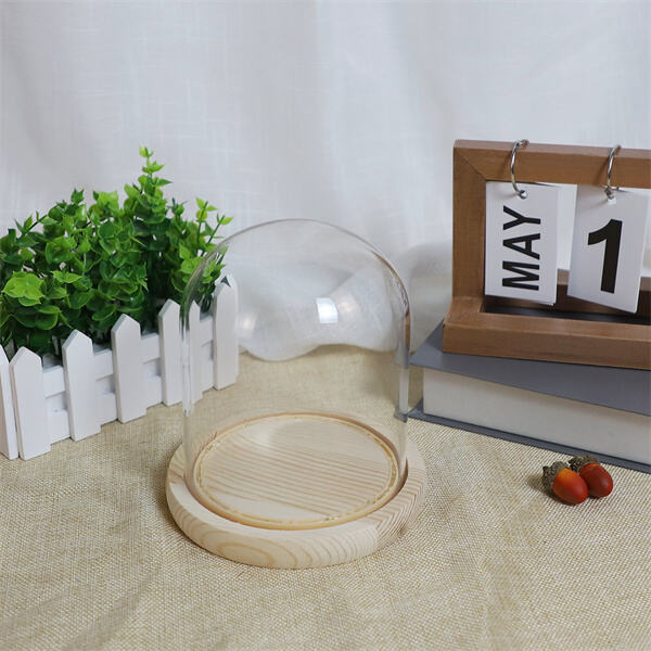 Showcase Your Treasures with a Glass Cloche Display Case