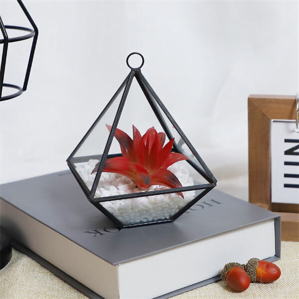 Large Terrarium Jars for your Office or Home