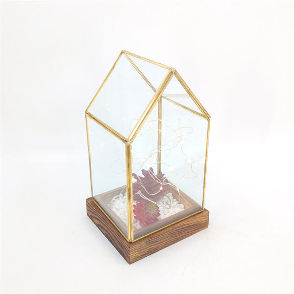 The Beauty of Geometric Glass Terrariums and Succulents