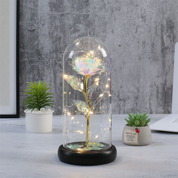 LED Light Roses