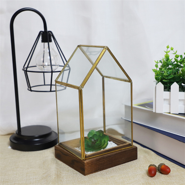 Geometric Glass Terrariums for Home or Office