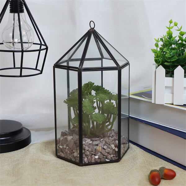 Create your own indoor jungle with a large glass terrarium