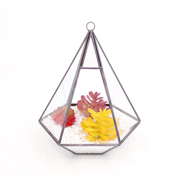 The beauty of a small glass terrarium.